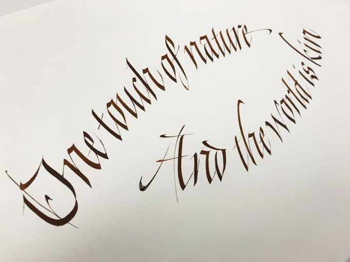 The touch of nature by Renée Alexander